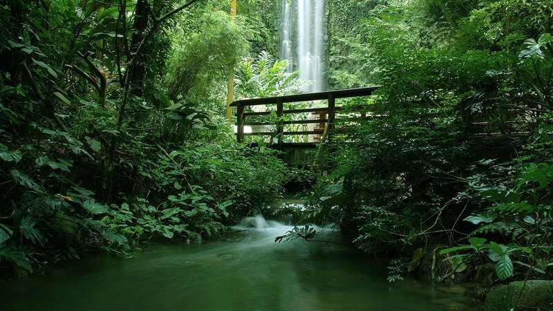 Wooden Bridge over Stream — Green, Serene, Afternoon, Photograph, Waterfall, River