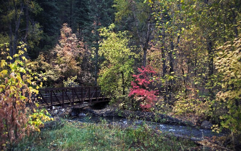 Wooden Bridge over Stream — Green, Serene, Autumn, Photograph