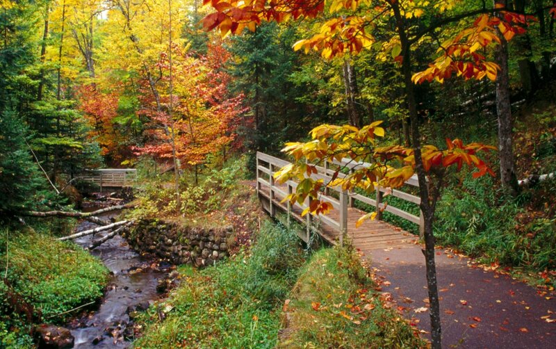 Wooden Bridge over Stream — Green, Serene, Autumn, Photograph, Trees, Fall Foliage, Path