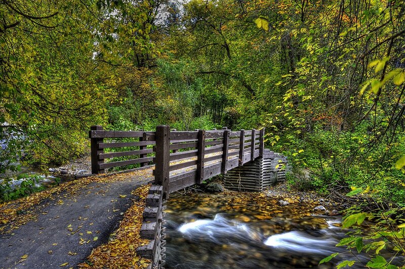 Wooden Bridge over Stream — Green, Serene, Autumn, Photograph, Trees, Fallen Leaves