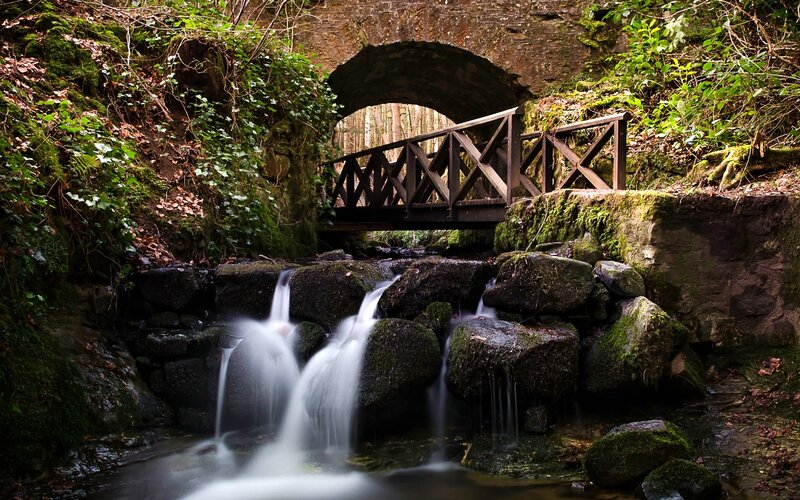 Wooden Bridge over Stream — Green, Serene, Morning, Photograph, Moss