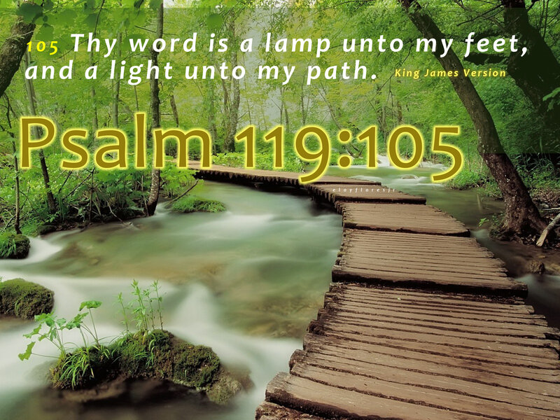 Wooden Bridge over Stream — Green, Serene, Photograph