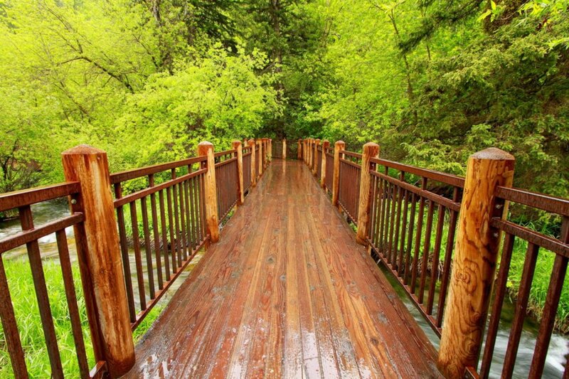 Wooden Bridge over Stream — Green, Serene, Spring, Photograph