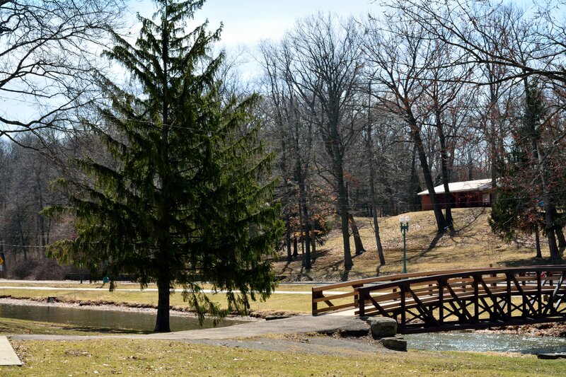 Wooden Bridge over Stream — Green, Serene, Spring, Photograph, Tree