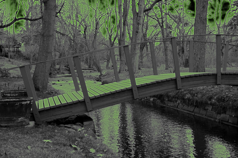 Wooden Bridge over Stream — Green, Serene, Spring, Photograph, Trees