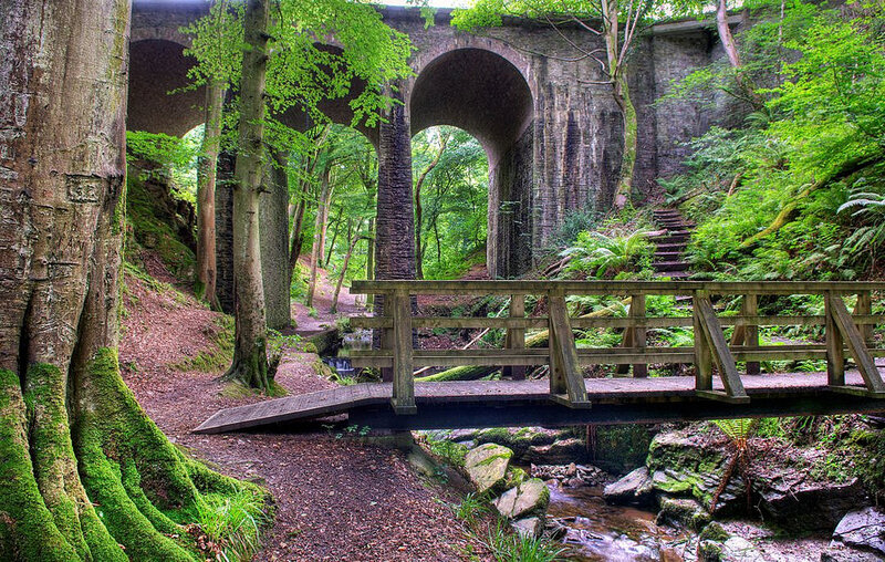 Wooden Bridge over Stream — Green, Serene, Spring
