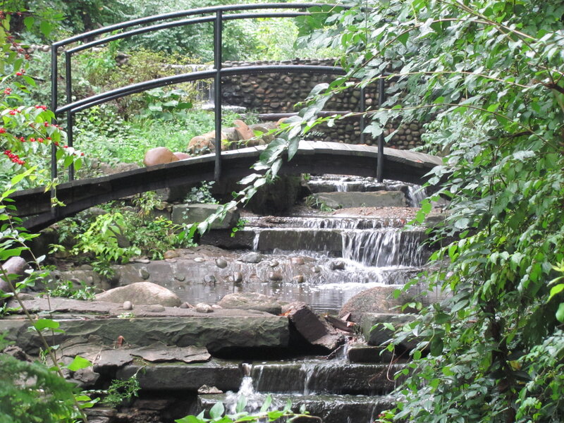 Wooden Bridge over Stream — Green, Serene, Summer, Photograph, Waterfall