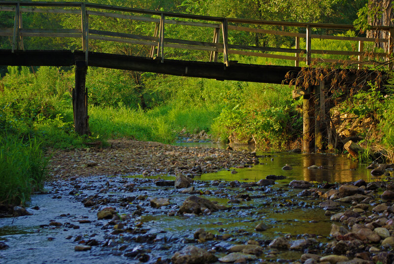 Wooden Bridge over Stream — Green