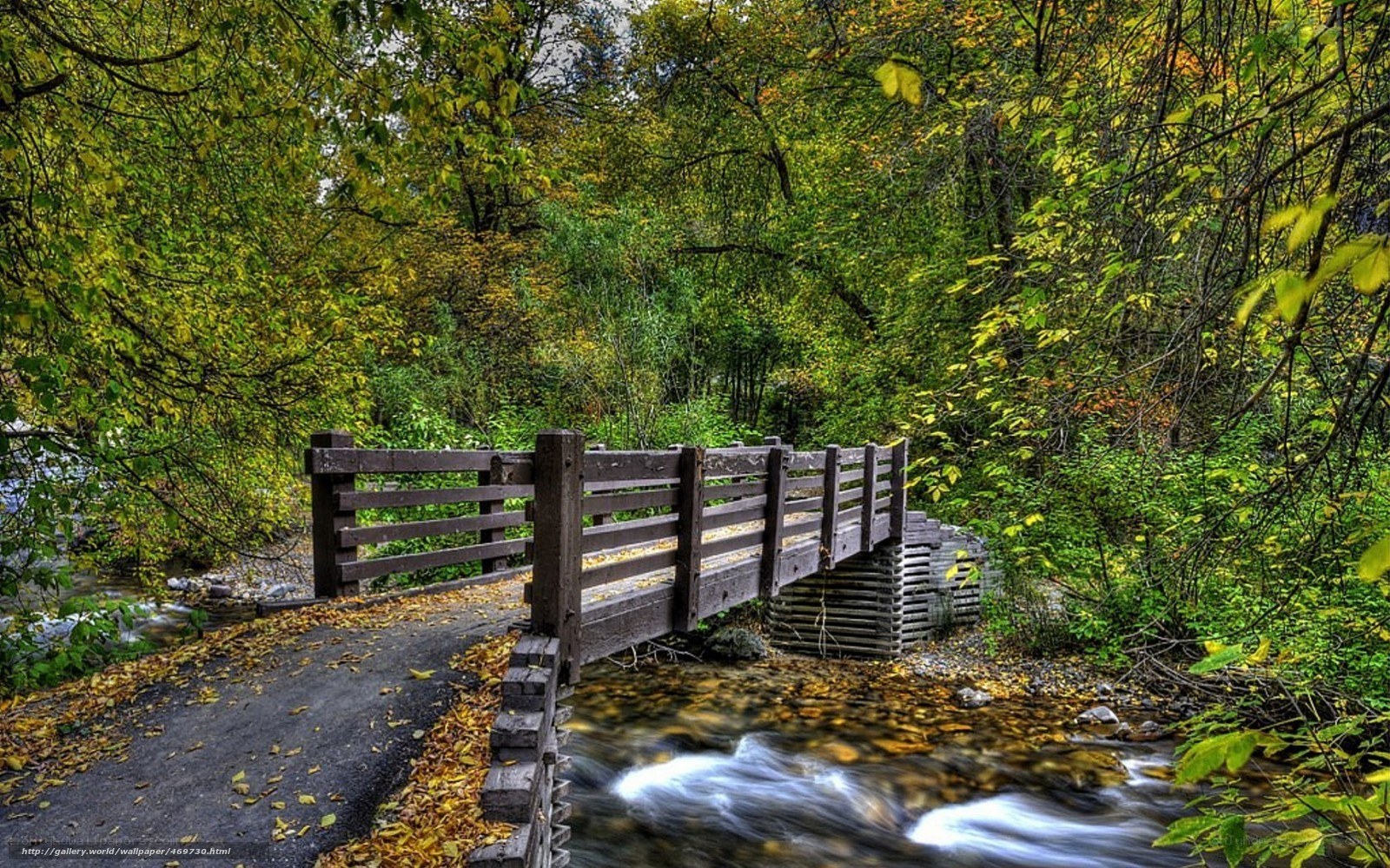 Wooden bridge over stream in forest