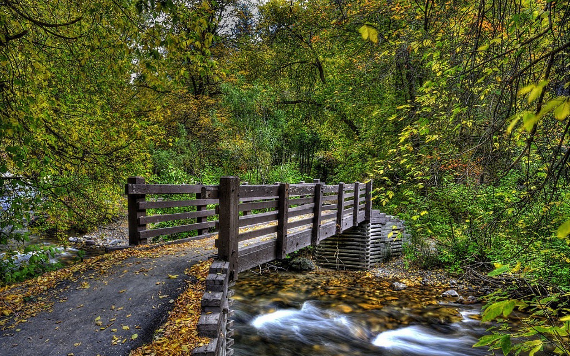 Wooden bridge over stream in forest