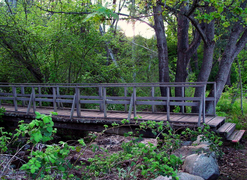 Wooden bridge over stream in forest