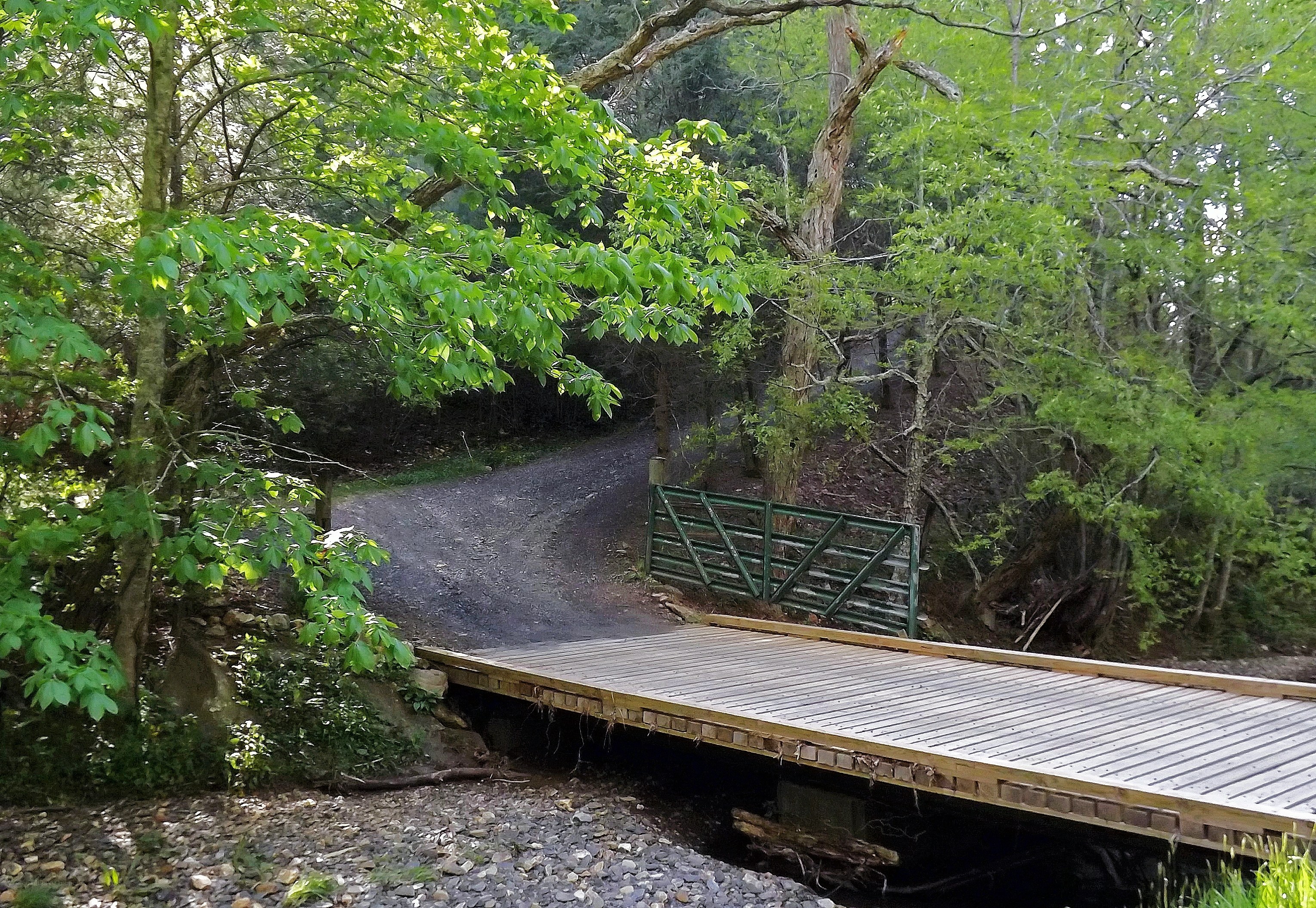 Wooden bridge over stream in forest
