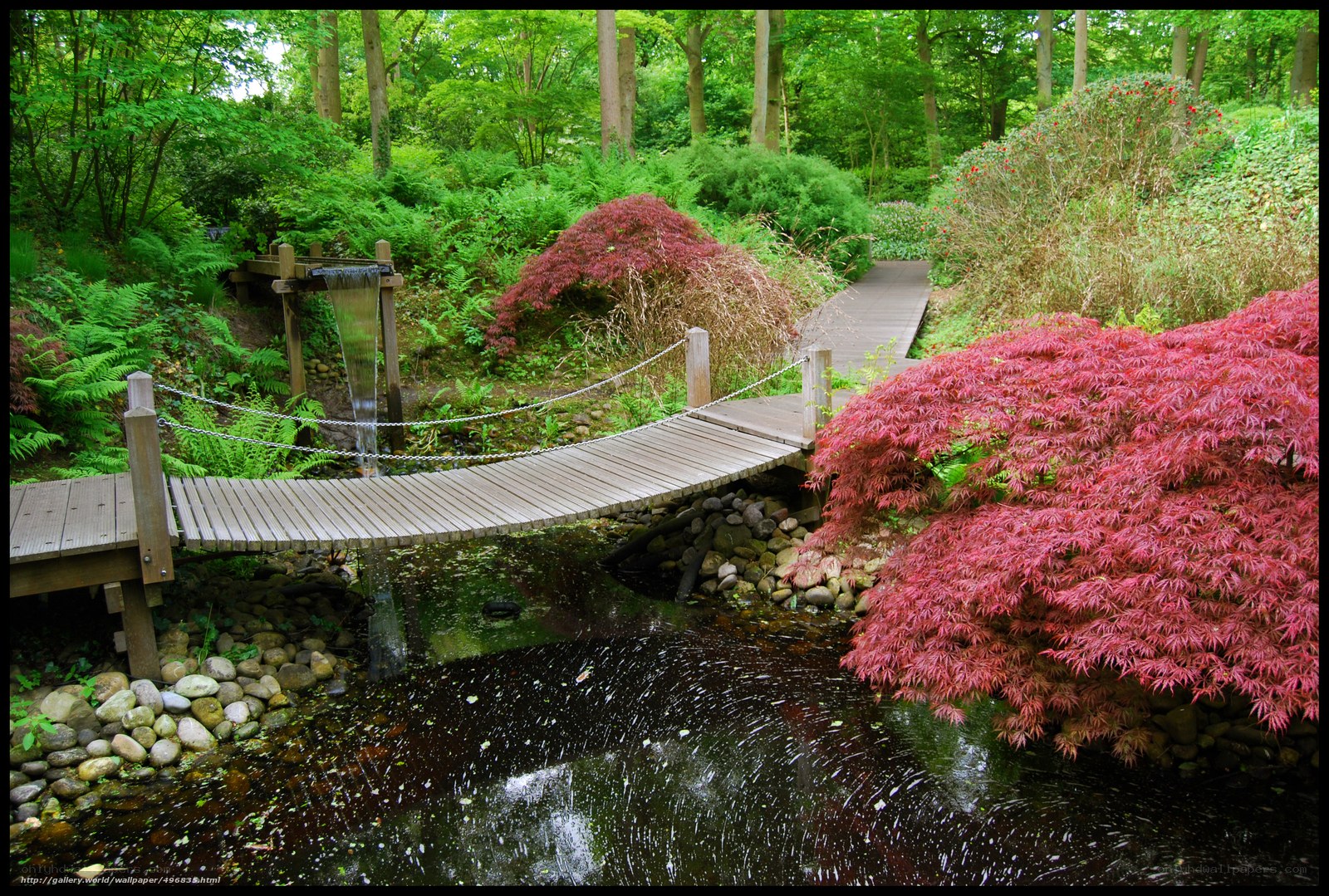 Wooden bridge over stream in garden