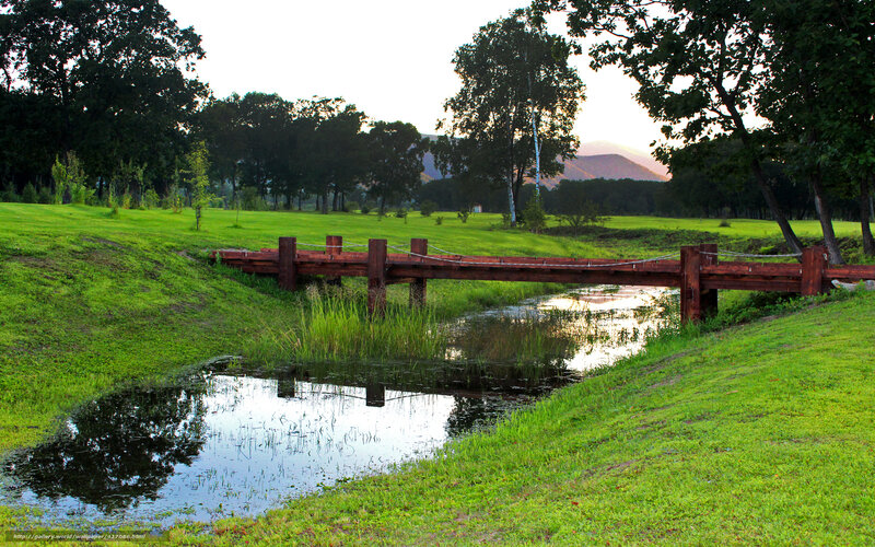 Wooden bridge over stream in park