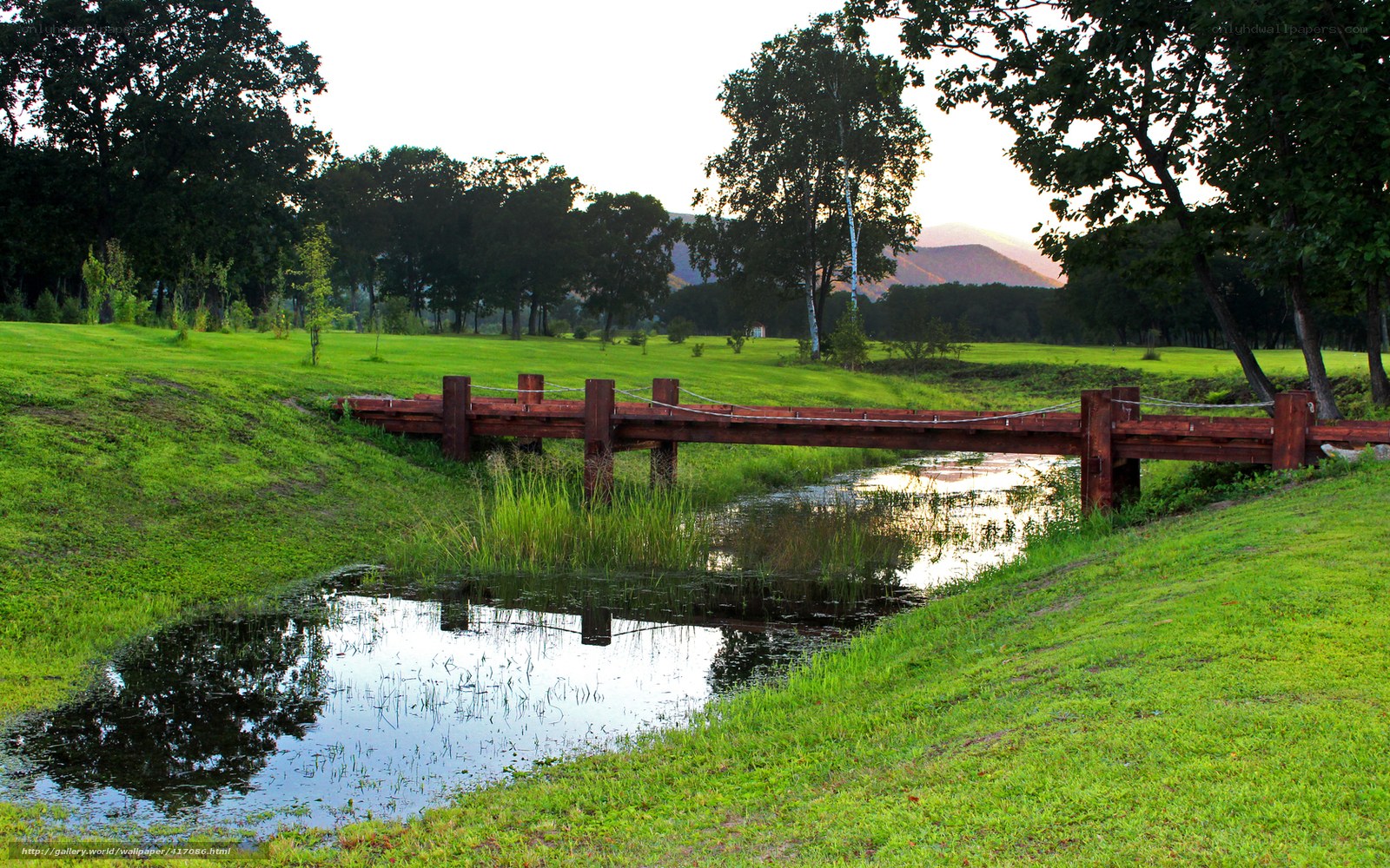 Wooden bridge over stream in park