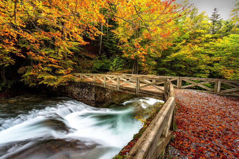 Wooden Bridge over Stream — Orange, Serene, Autumn, Photograph, Fall Foliage