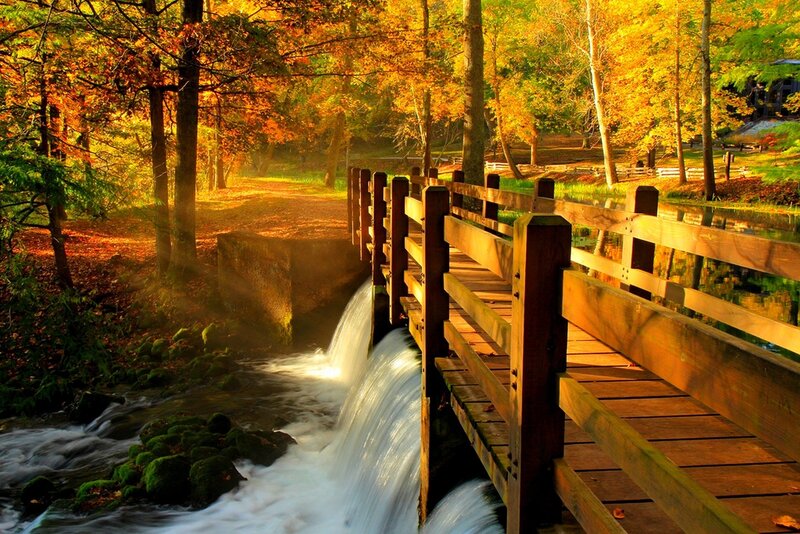 Wooden Bridge over Stream — Orange, Serene, Autumn, Photograph, Trees