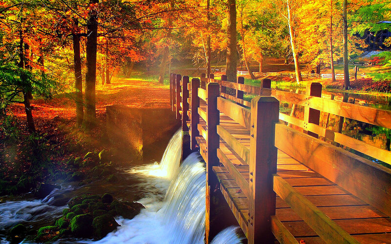 Wooden Bridge over Stream — Orange, Serene, Autumn