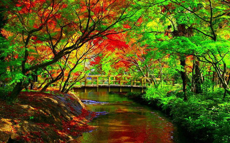 Wooden Bridge over Stream — Red, Serene
