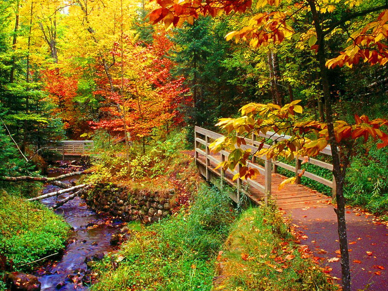 Wooden Bridge over Stream — Red