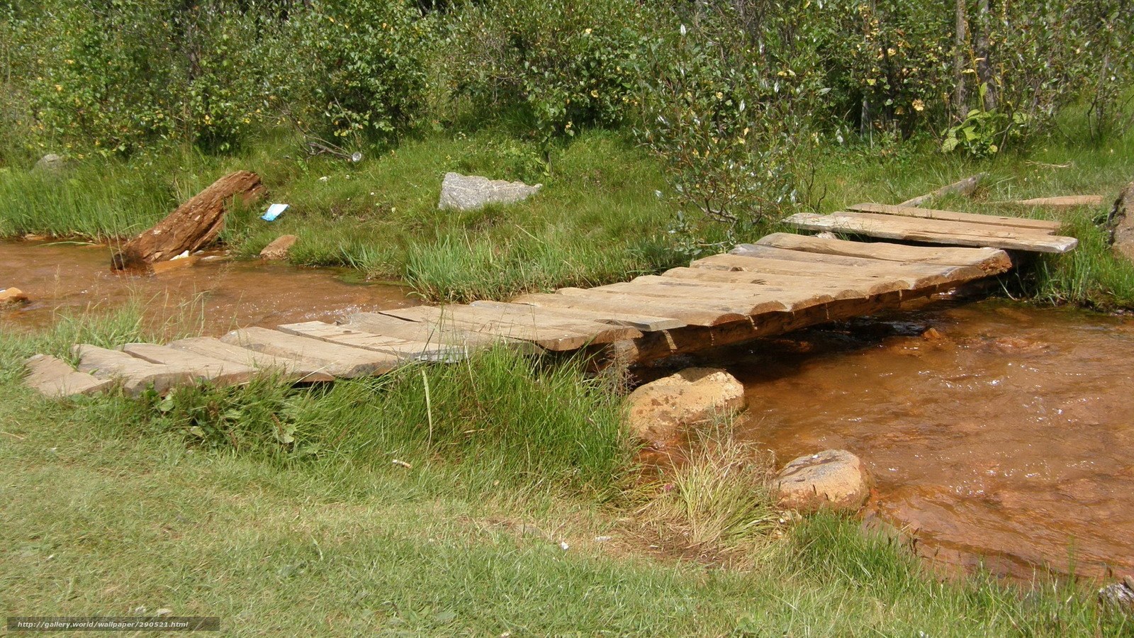 Wooden bridge over stream