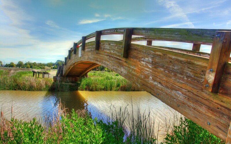 Wooden Bridge over Water — Brown, Serene, Afternoon