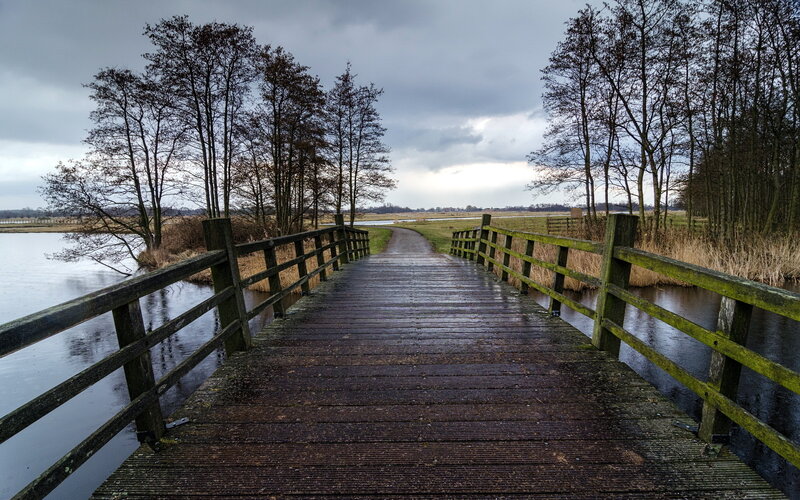 Wooden Bridge over Water — Brown