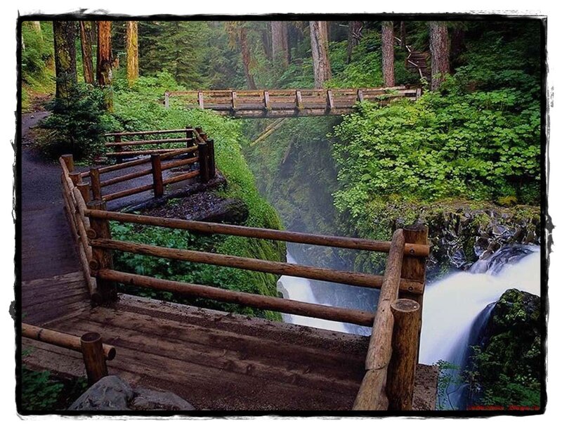 Wooden Bridge over Waterfall — Green, Serene