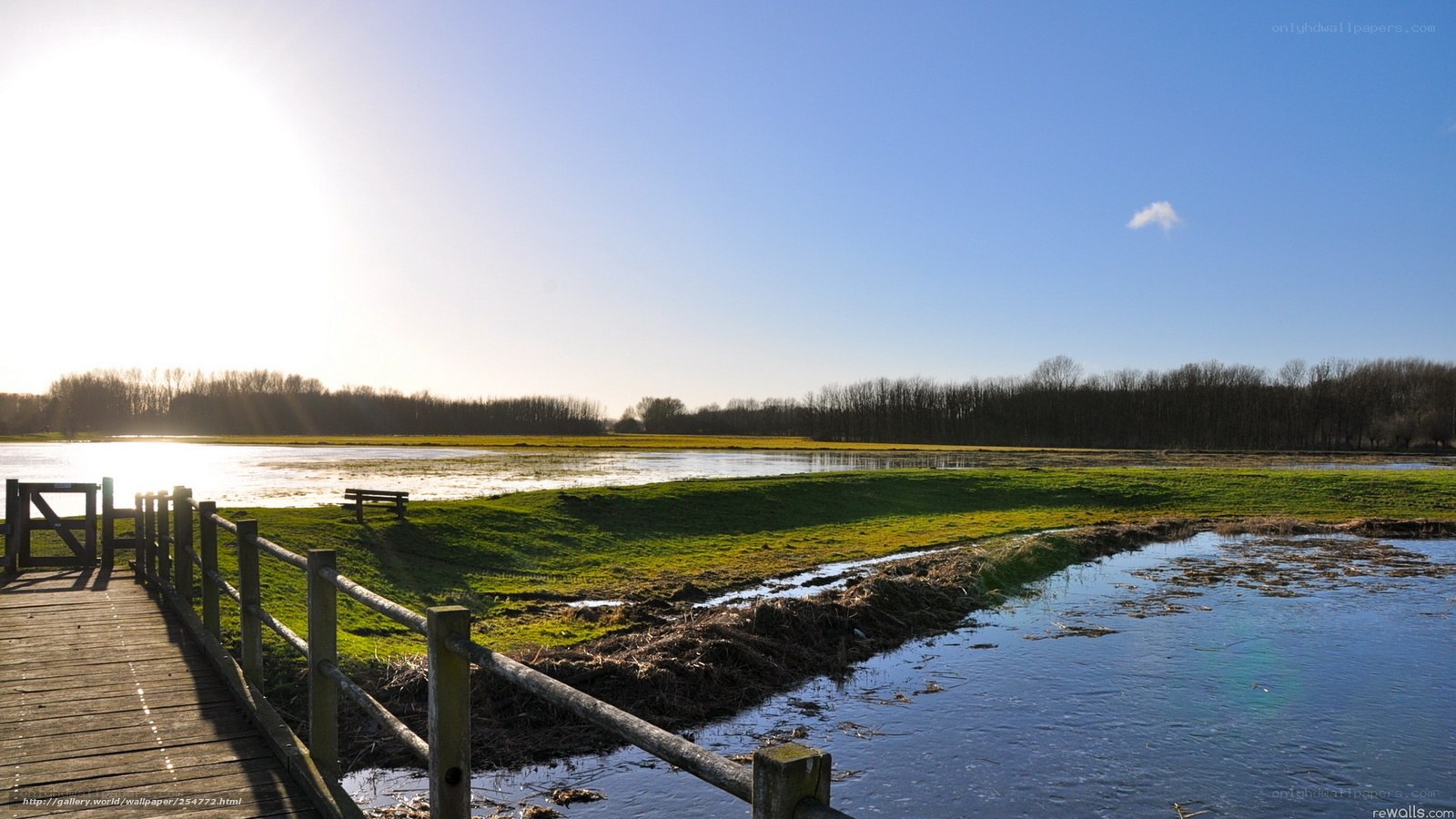 Wooden bridge over wetland