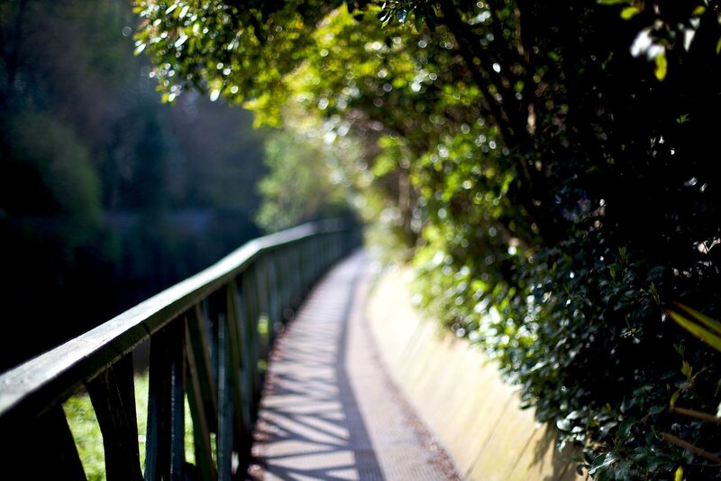 Wooden Bridge Path