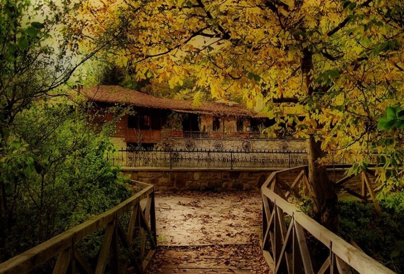 Wooden Bridge to House