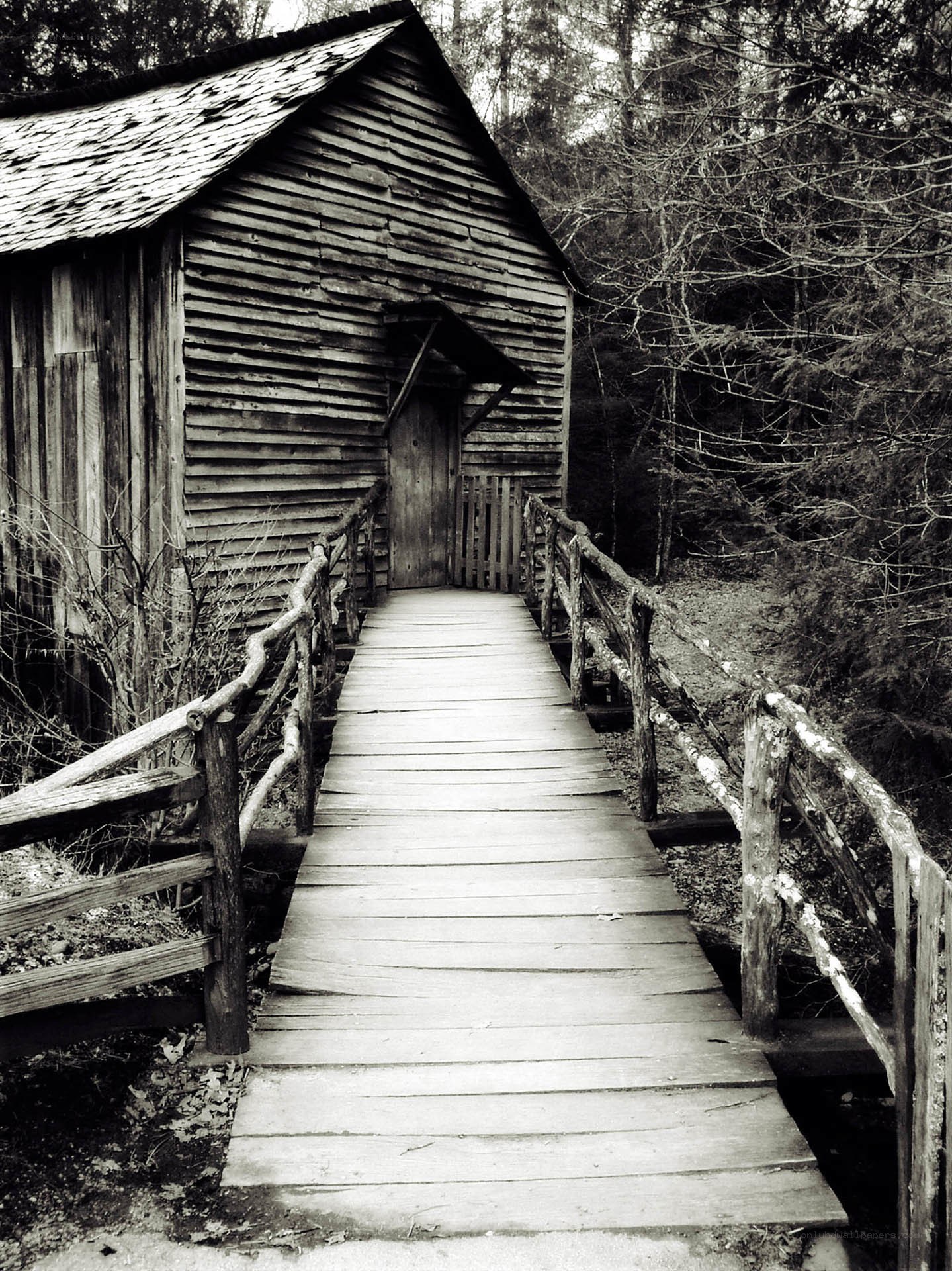 Wooden bridge to old cabin