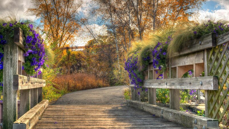 Wooden Bridge with Flowers — Purple