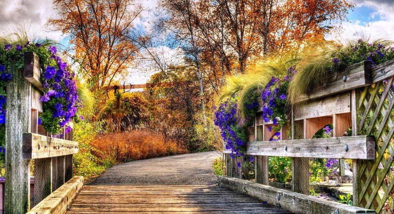 Wooden Bridge with Flowers