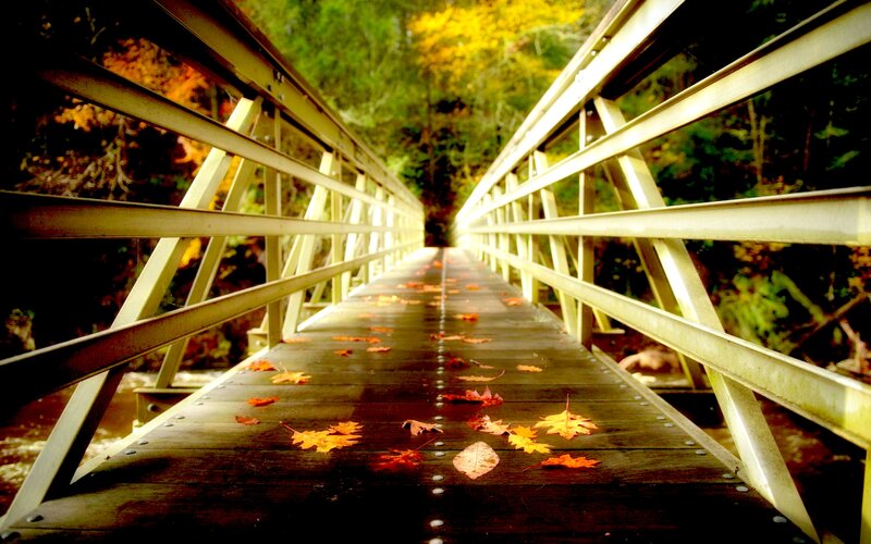 Wooden Bridge with Leaves — Brown