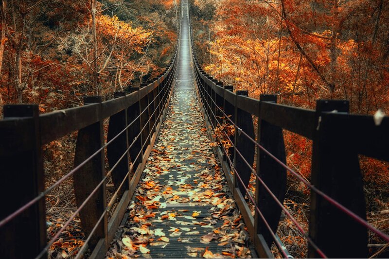 Wooden Bridge with Leaves — Orange