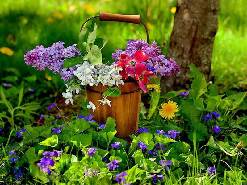 Wooden Bucket of Flowers — Green