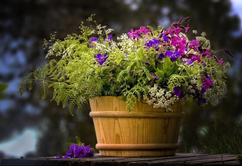 Wooden Bucket with Flowers — Purple