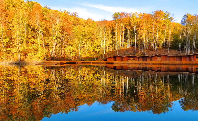 Wooden Building by Lake