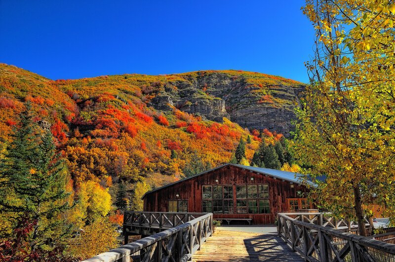 Wooden Building in Autumn