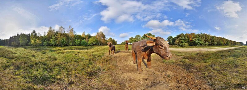 Wooden bull sculptures in a field