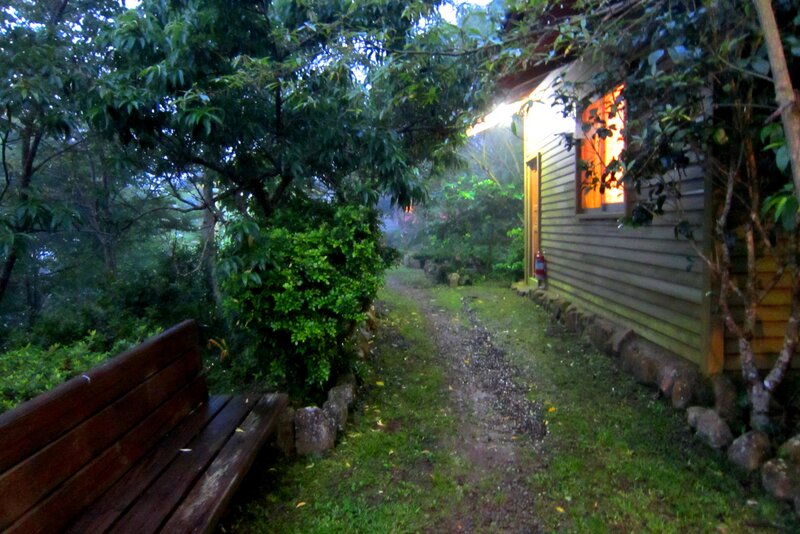 Wooden Cabin at Dusk — Green