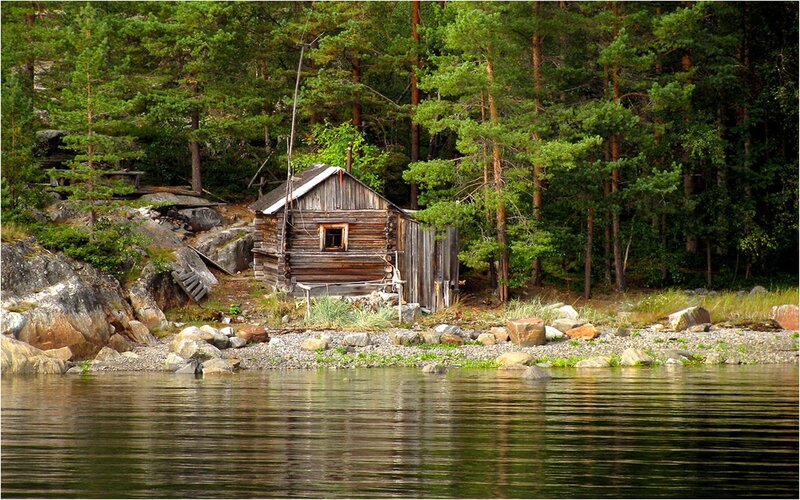 Wooden Cabin by Lake — Green, Serene, Afternoon
