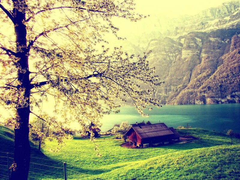 Wooden Cabin by Lake — Green, Serene, Spring