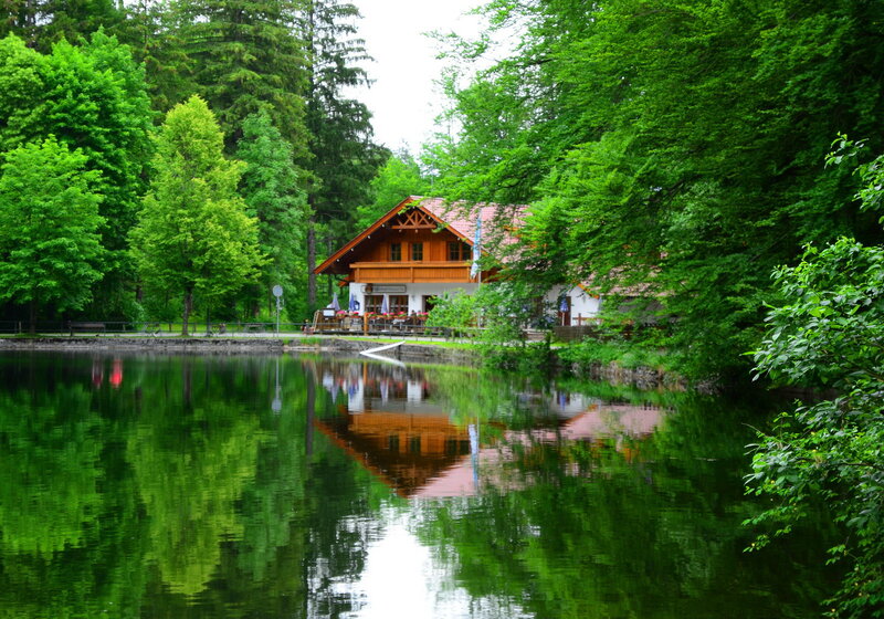 Wooden Cabin by Lake — Green, Serene, Summer, Photograph
