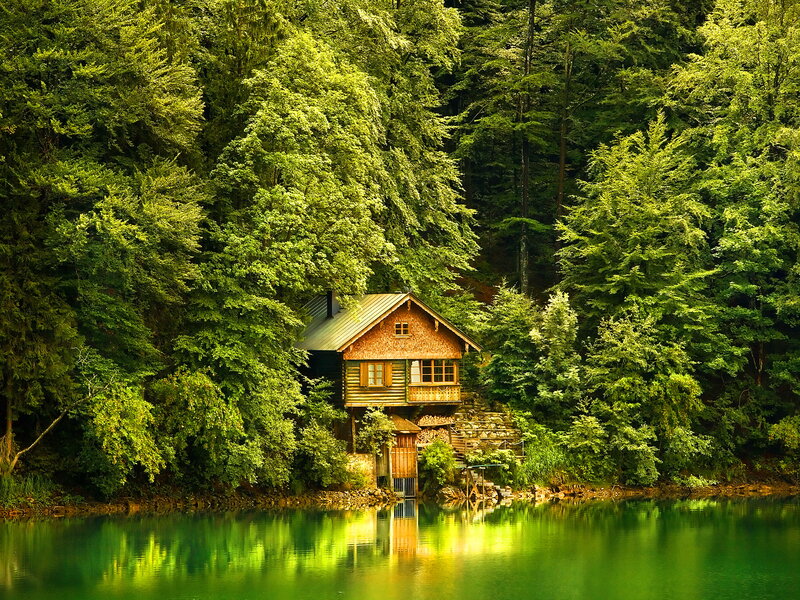 Wooden Cabin by Lake — Green, Serene
