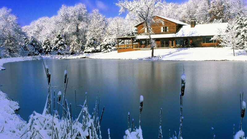 Wooden Cabin by Pond — Blue