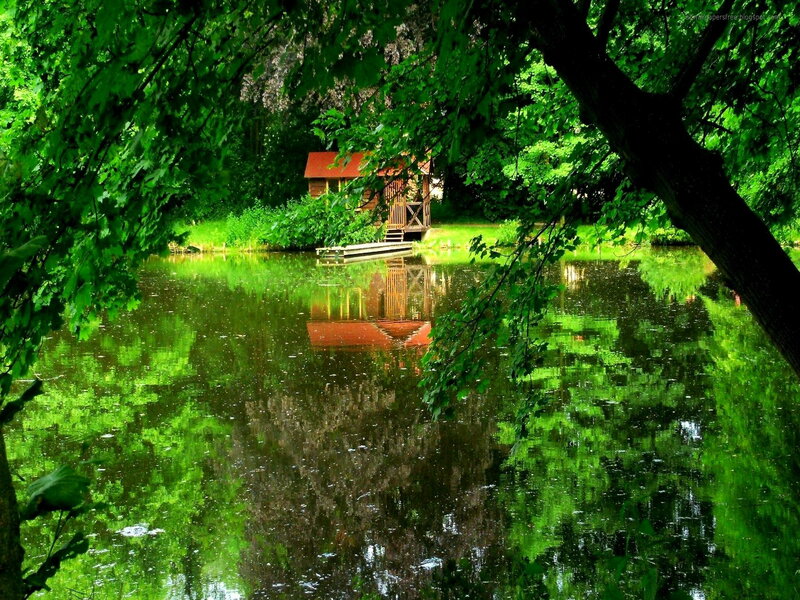 Wooden Cabin by Pond — Green