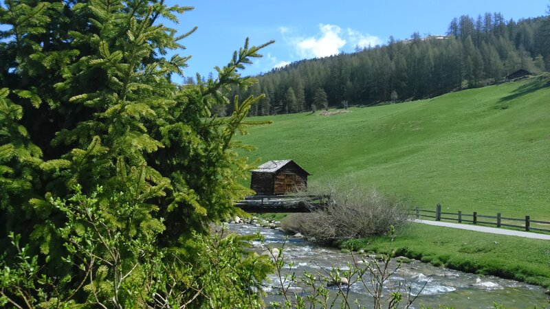 Wooden Cabin by Stream — Green, Serene