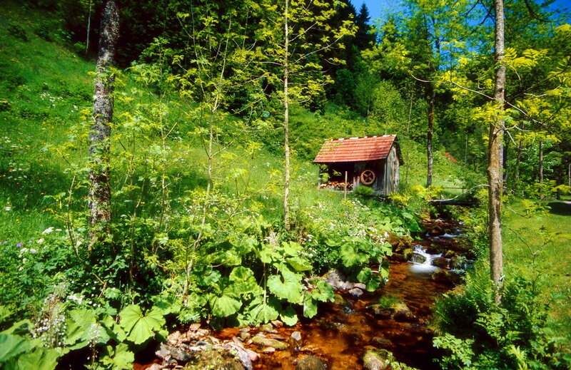 Wooden Cabin by Stream — Green